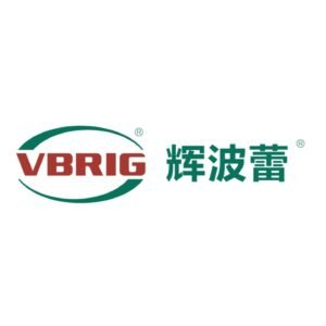 ZHEJIANG V-BRIGHT AUTO FITTINGS CO., LTD logo
